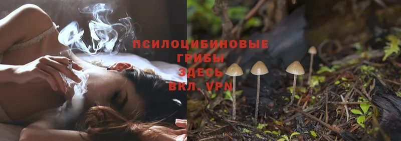 Псилоцибиновые грибы MAGIC MUSHROOMS  Вельск 